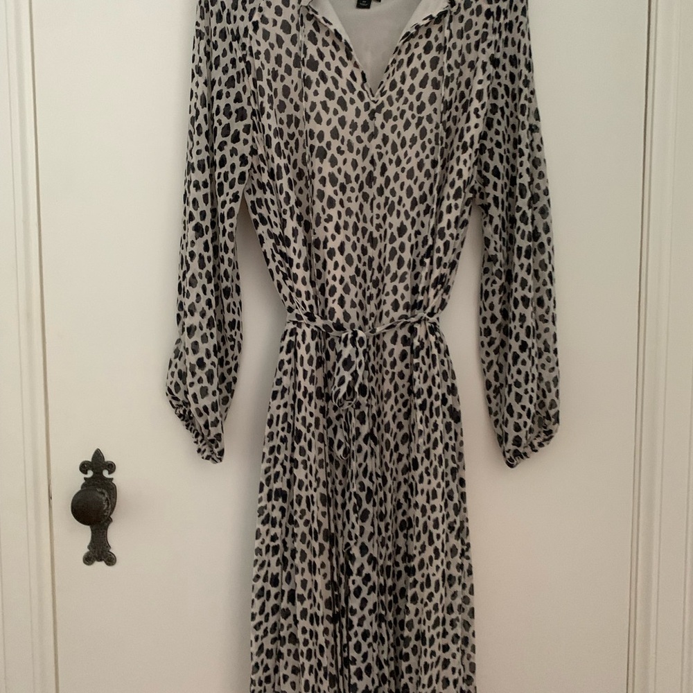 Ocelot Print Ann Taylor Polka Dot Dress with Belt and Pleated Back